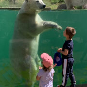 La Bande à Mowgli amis du zoo de Mulhouse