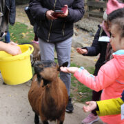 Sortie scolaire avec le service pédagogique du zoo de Mulhouse