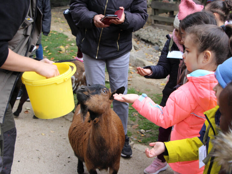 Sortie scolaire avec le service pédagogique du zoo de Mulhouse