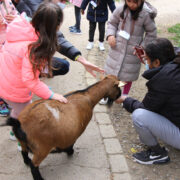 Sortie scolaire avec le service pédagogique du zoo de Mulhouse