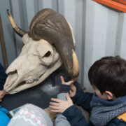 Sortie scolaire avec le service pédagogique du zoo de Mulhouse